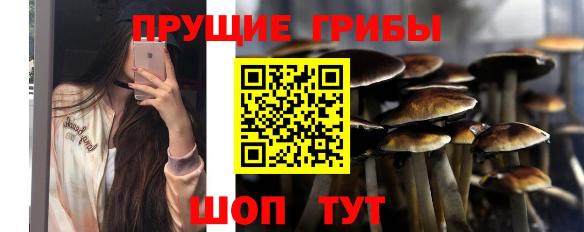 Псилоцибиновые грибы прущие грибы Миллерово